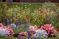 De cottagetuin is terug, maar dan losser en kleuriger