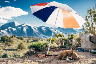 Een nieuwe parasol: de keuze tussen een zweefparasol en een staande parasol